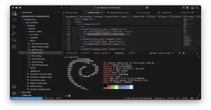 Development Tools & Workflows