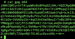 Demystifying Code: GNU Privacy Guard